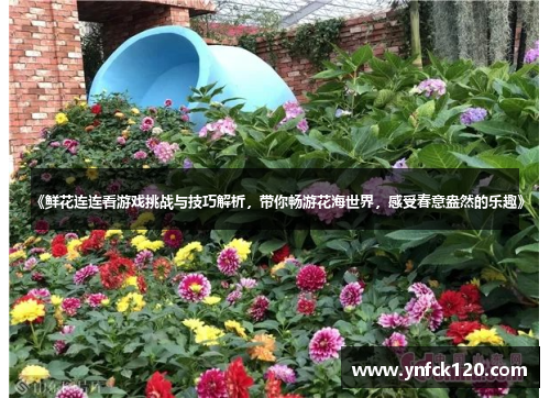 《鲜花连连看游戏挑战与技巧解析，带你畅游花海世界，感受春意盎然的乐趣》